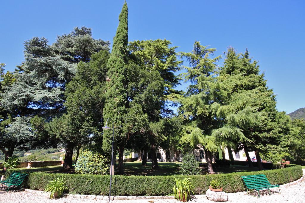 Il Castello Villa Barbarano Vicentino Eksteriør billede